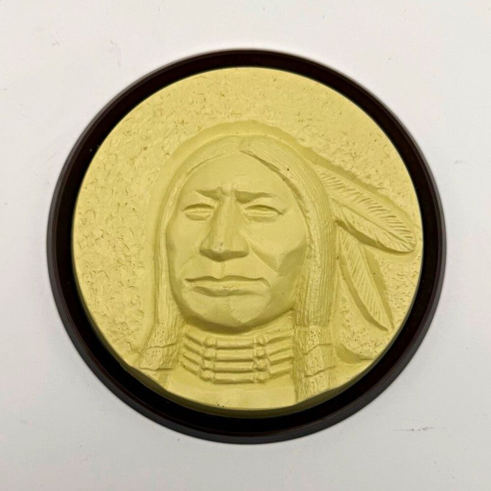 Round Native American Chief Profile Wall Plaque Medallion 7 in, 3 in Frame